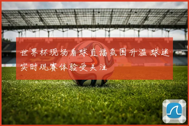世界杯现场看球直播氛围升温 球迷实时观赛体验受关注