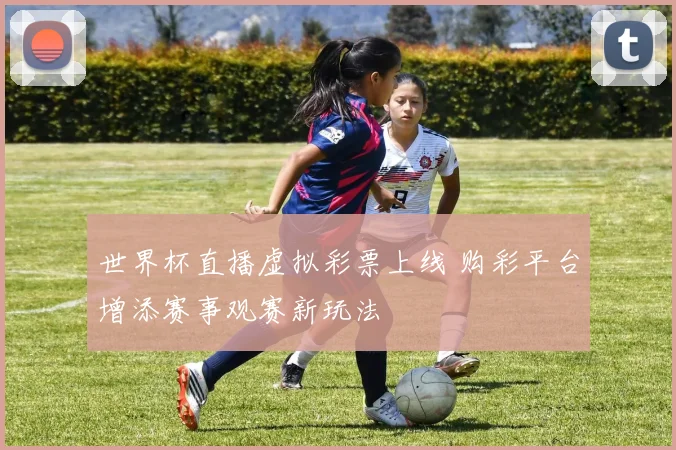 世界杯直播虚拟彩票上线 购彩平台增添赛事观赛新玩法