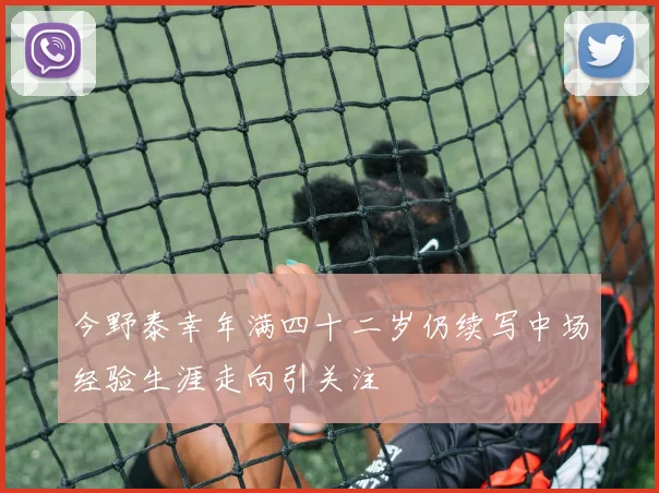 今野泰幸年满四十二岁仍续写中场经验生涯走向引关注