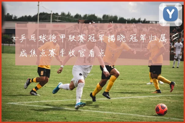乒乓球德甲联赛冠军揭晓 冠军归属成焦点赛季收官看点