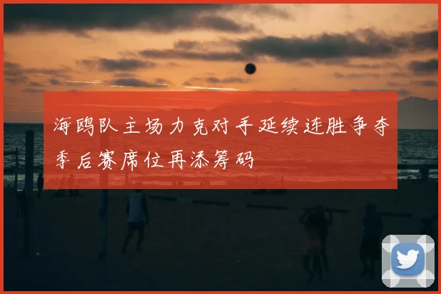 海鸥队主场力克对手延续连胜争夺季后赛席位再添筹码