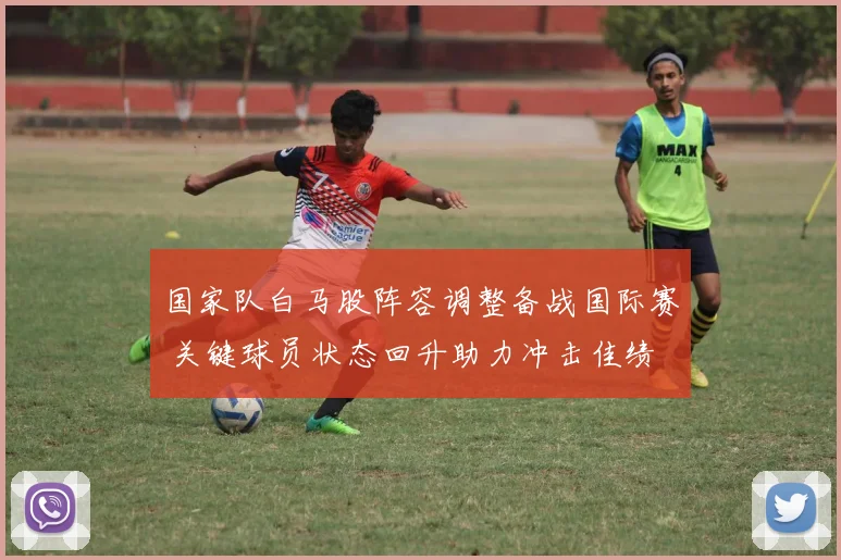 国家队白马股阵容调整备战国际赛 关键球员状态回升助力冲击佳绩