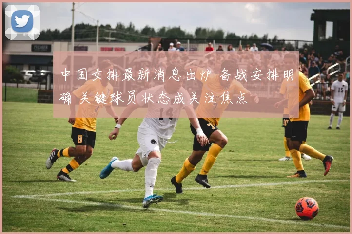 中国女排最新消息出炉 备战安排明确 关键球员状态成关注焦点